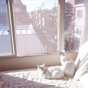 无尽❌裸体❌女同❌3D森林动漫
