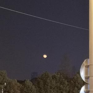 无尽❌裸体❌女同❌3D森林动漫
